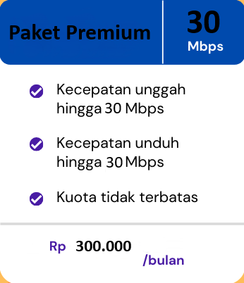 Paket 30 Mbps